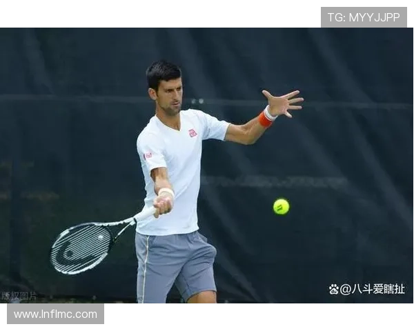 全球网球总冠军数量排名揭秘 谁才是历史上最强选手